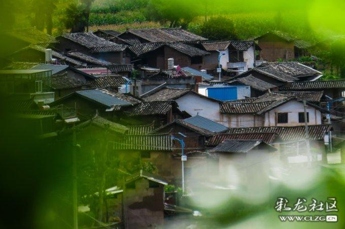 美人鱼生日会